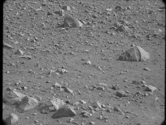 Sol 19: Mast Camera (Mastcam)