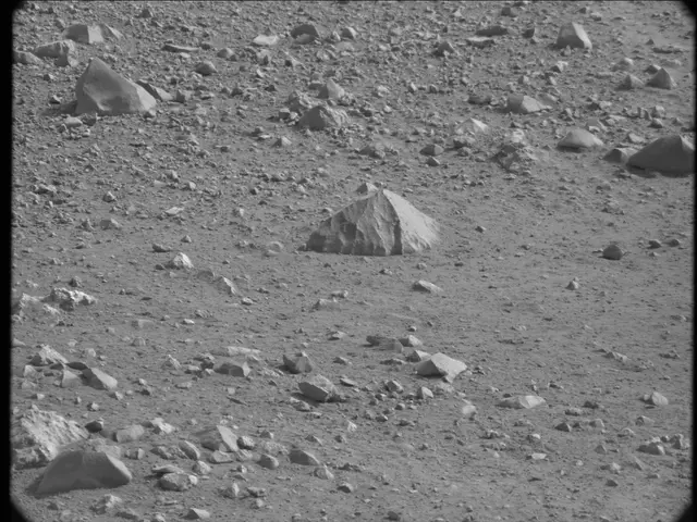 Sol 19: Mast Camera (Mastcam)