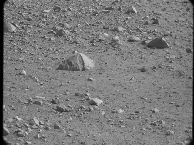 Sol 19: Mast Camera (Mastcam)