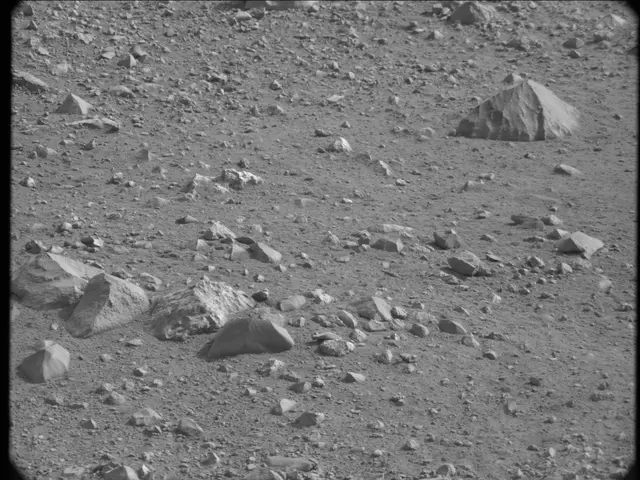 Sol 19: Mast Camera (Mastcam)