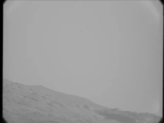 Sol 19: Mast Camera (Mastcam)