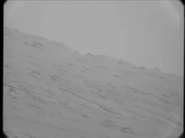 Sol 19: Mast Camera (Mastcam)