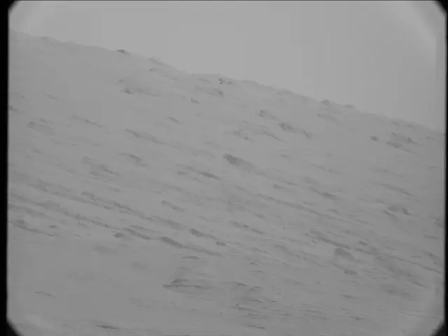 Sol 19: Mast Camera (Mastcam)