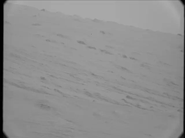 Sol 19: Mast Camera (Mastcam)