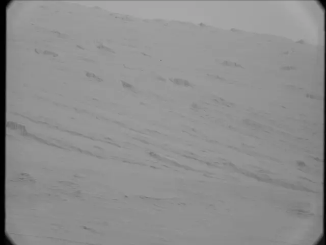 Sol 19: Mast Camera (Mastcam)