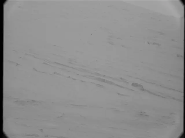 Sol 19: Mast Camera (Mastcam)
