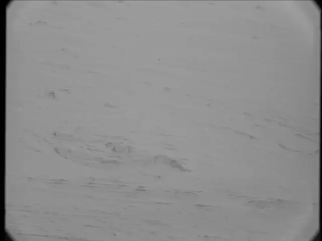 Sol 19: Mast Camera (Mastcam)