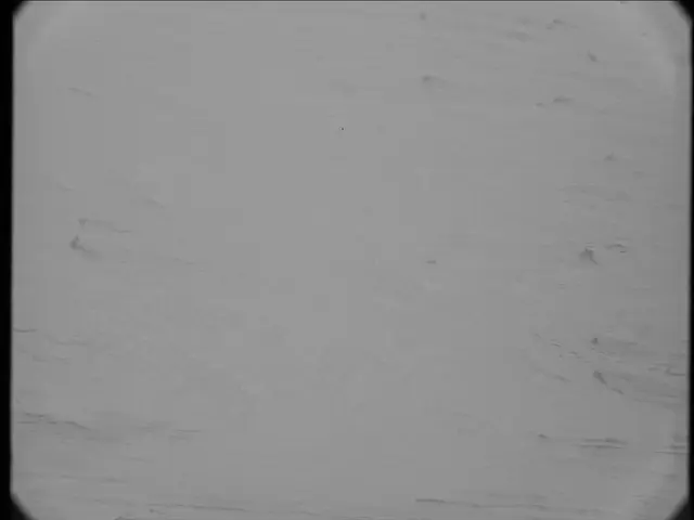 Sol 19: Mast Camera (Mastcam)