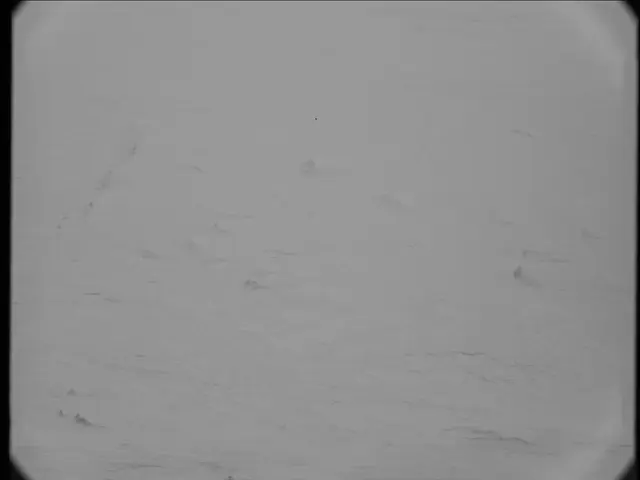 Sol 19: Mast Camera (Mastcam)