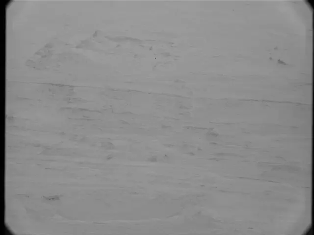 Sol 19: Mast Camera (Mastcam)