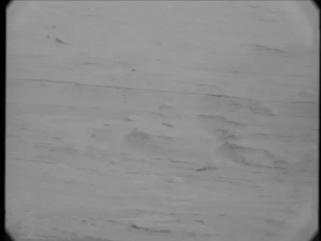 Sol 19: Mast Camera (Mastcam)