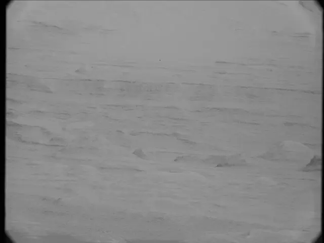 Sol 19: Mast Camera (Mastcam)