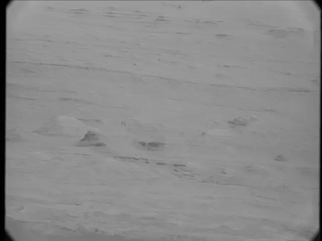 Sol 19: Mast Camera (Mastcam)
