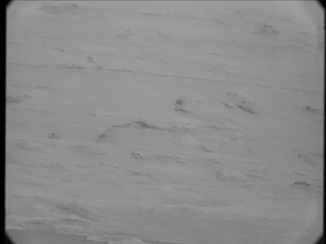 Sol 19: Mast Camera (Mastcam)
