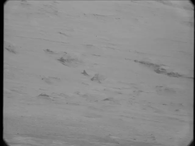 Sol 19: Mast Camera (Mastcam)