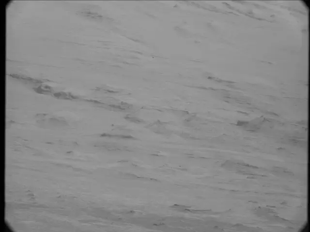 Sol 19: Mast Camera (Mastcam)