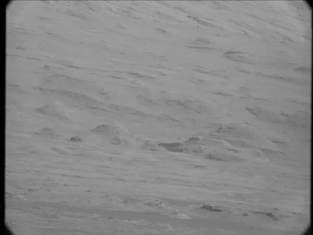 Sol 19: Mast Camera (Mastcam)