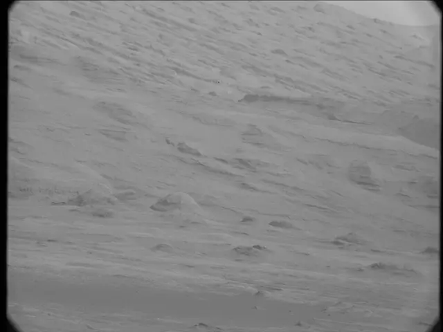Sol 19: Mast Camera (Mastcam)