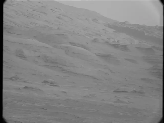Sol 19: Mast Camera (Mastcam)