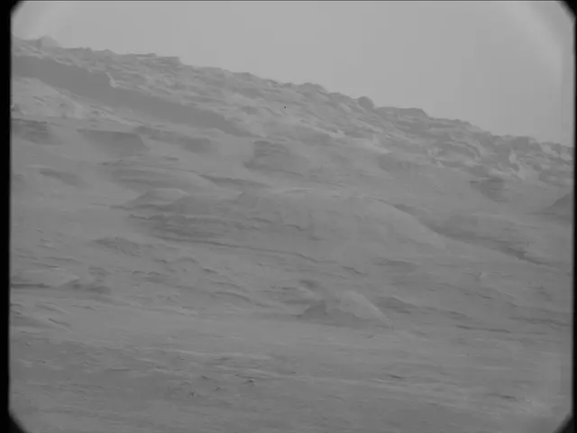 Sol 19: Mast Camera (Mastcam)