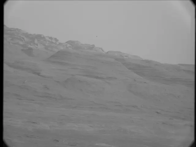 Sol 19: Mast Camera (Mastcam)