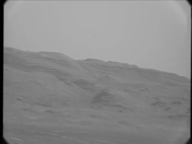 Sol 19: Mast Camera (Mastcam)