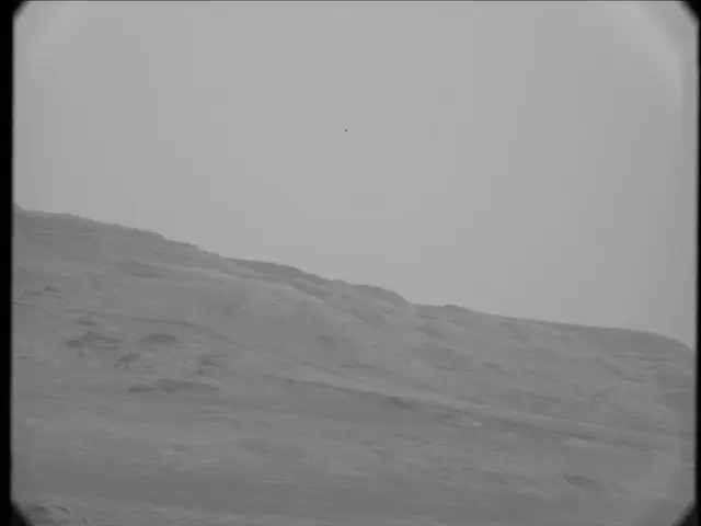 Sol 19: Mast Camera (Mastcam)