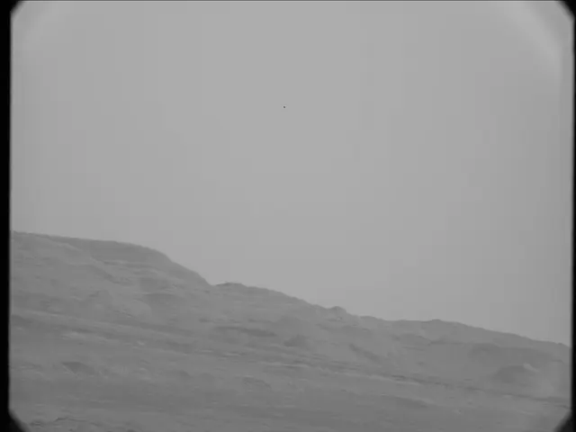 Sol 19: Mast Camera (Mastcam)