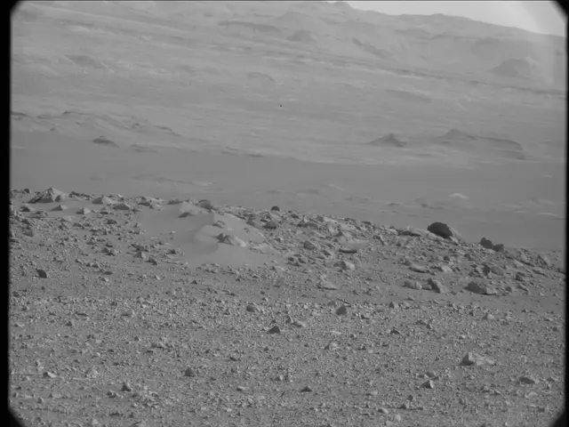 Sol 19: Mast Camera (Mastcam)