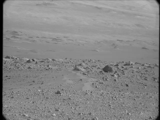 Sol 19: Mast Camera (Mastcam)