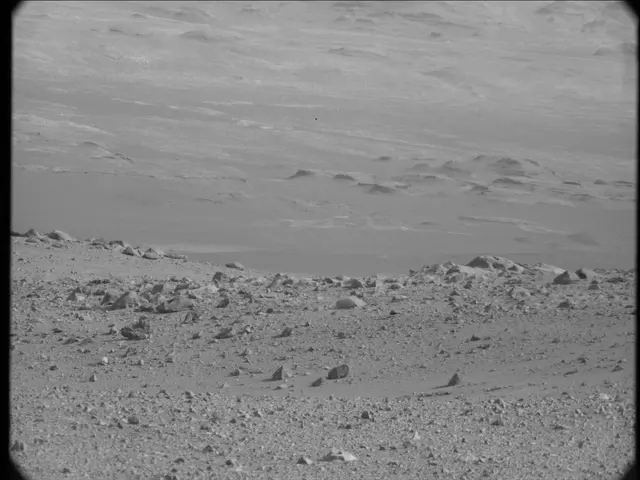 Sol 19: Mast Camera (Mastcam)