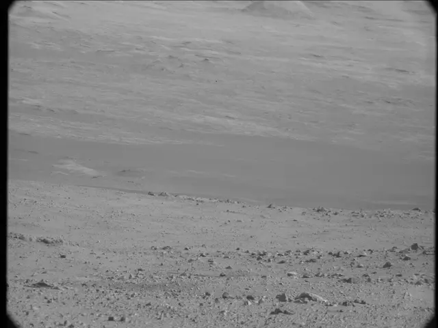 Sol 19: Mast Camera (Mastcam)