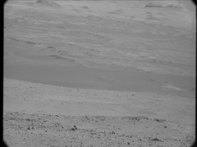Sol 19: Mast Camera (Mastcam)