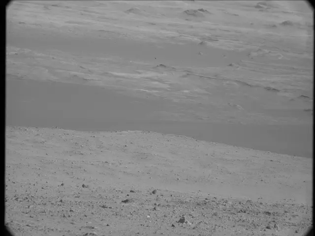 Sol 19: Mast Camera (Mastcam)