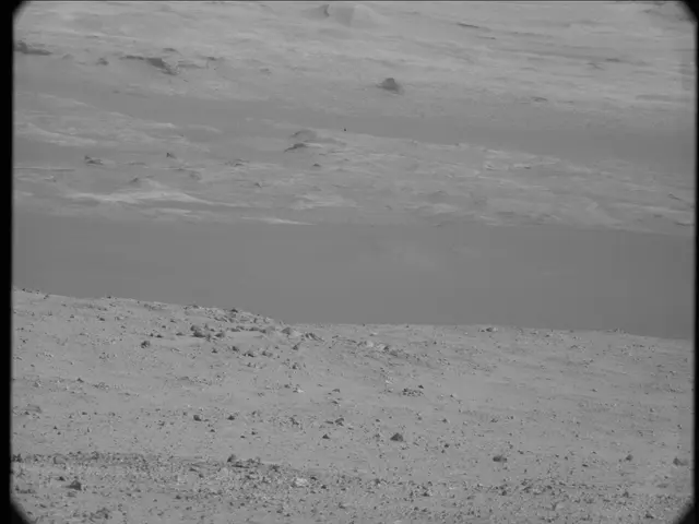 Sol 19: Mast Camera (Mastcam)