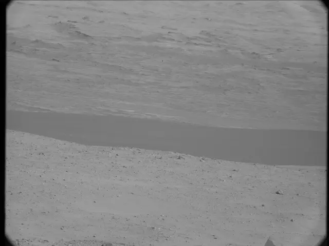 Sol 19: Mast Camera (Mastcam)