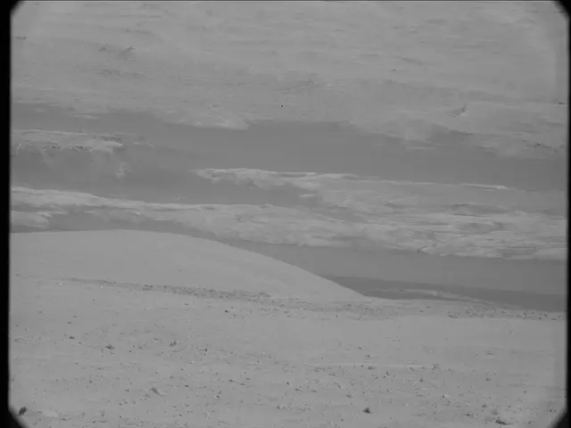 Sol 19: Mast Camera (Mastcam)