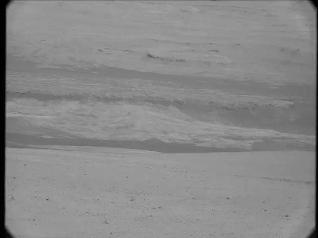 Sol 19: Mast Camera (Mastcam)