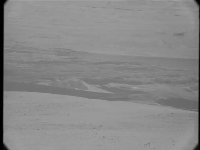 Sol 19: Mast Camera (Mastcam)