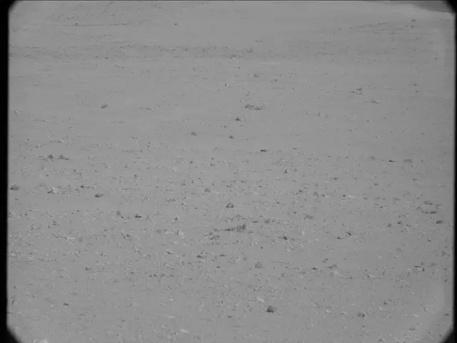 Sol 19: Mast Camera (Mastcam)