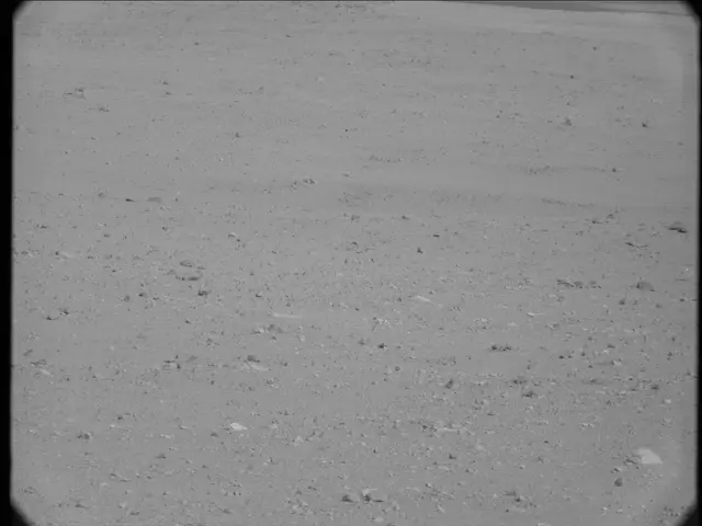Sol 19: Mast Camera (Mastcam)