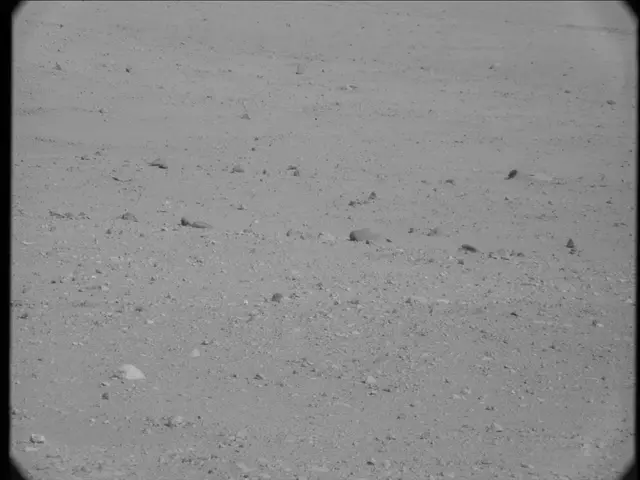 Sol 19: Mast Camera (Mastcam)