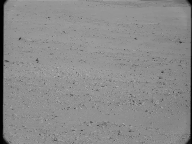 Sol 19: Mast Camera (Mastcam)