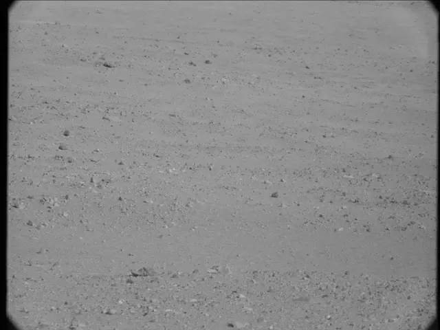 Sol 19: Mast Camera (Mastcam)