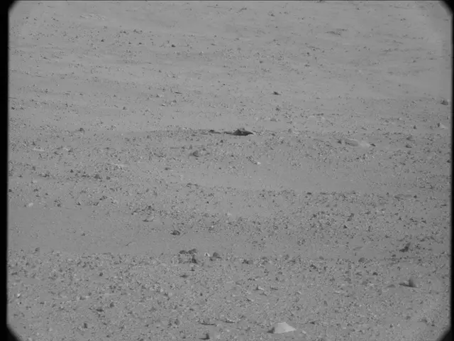 Sol 19: Mast Camera (Mastcam)