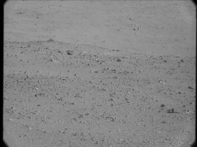 Sol 19: Mast Camera (Mastcam)