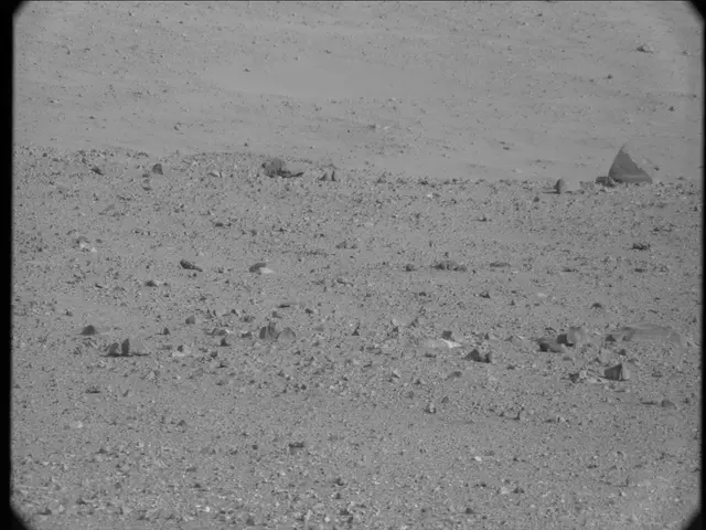 Sol 19: Mast Camera (Mastcam)