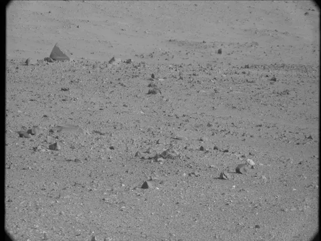 Sol 19: Mast Camera (Mastcam)