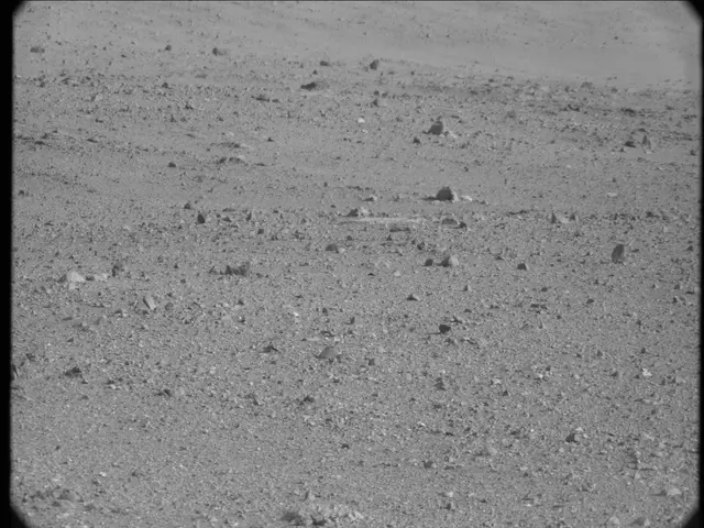 Sol 19: Mast Camera (Mastcam)