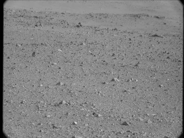 Sol 19: Mast Camera (Mastcam)
